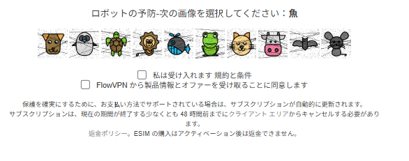 FlowVPN 人間確認